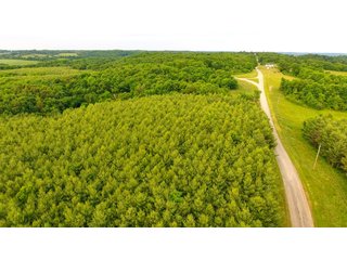 Property photo 14 - LAND AUCTION - 1,050+/- ACRES OFFERED IN 21 TRACTS PLUS 450+/- ACRE HUNTING LEASE IN MUSKINGUM COUNTY, OHIO